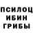Псилоцибиновые грибы Psilocybe PunkGraves