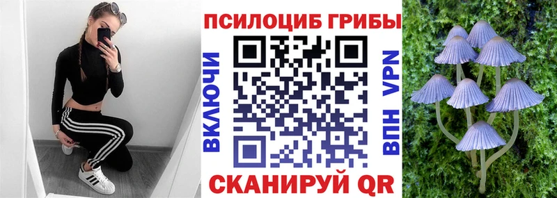 дарнет шоп мориарти какой сайт Галлюциногенные грибы Psilocybine cubensis Ликино-Дулёво